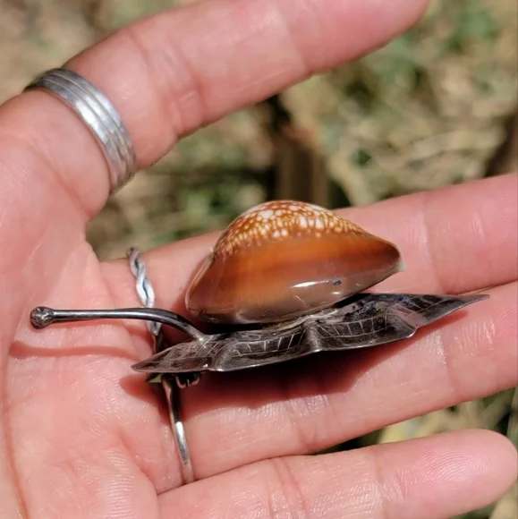 *RARE* epic genuine cowrie shell 925 sterling silver snail brooch